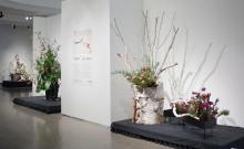 Overview 02.jpg 5.5K